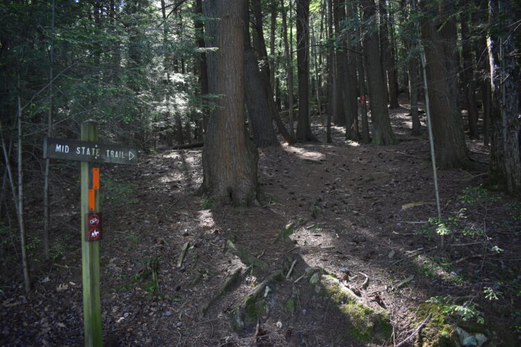 Halfway to Winter: First hand account from forester